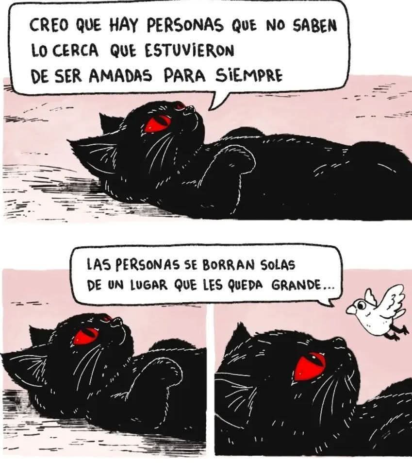 Rob ⛈ ༊·˚𓆉 tweet media