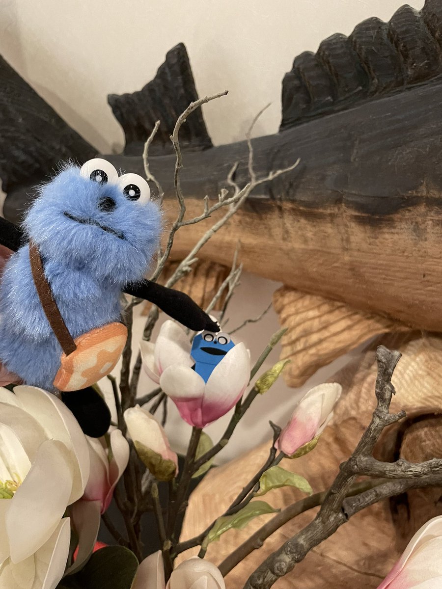 ⭐︎ホワイトｽｿｽﾝ tweet media