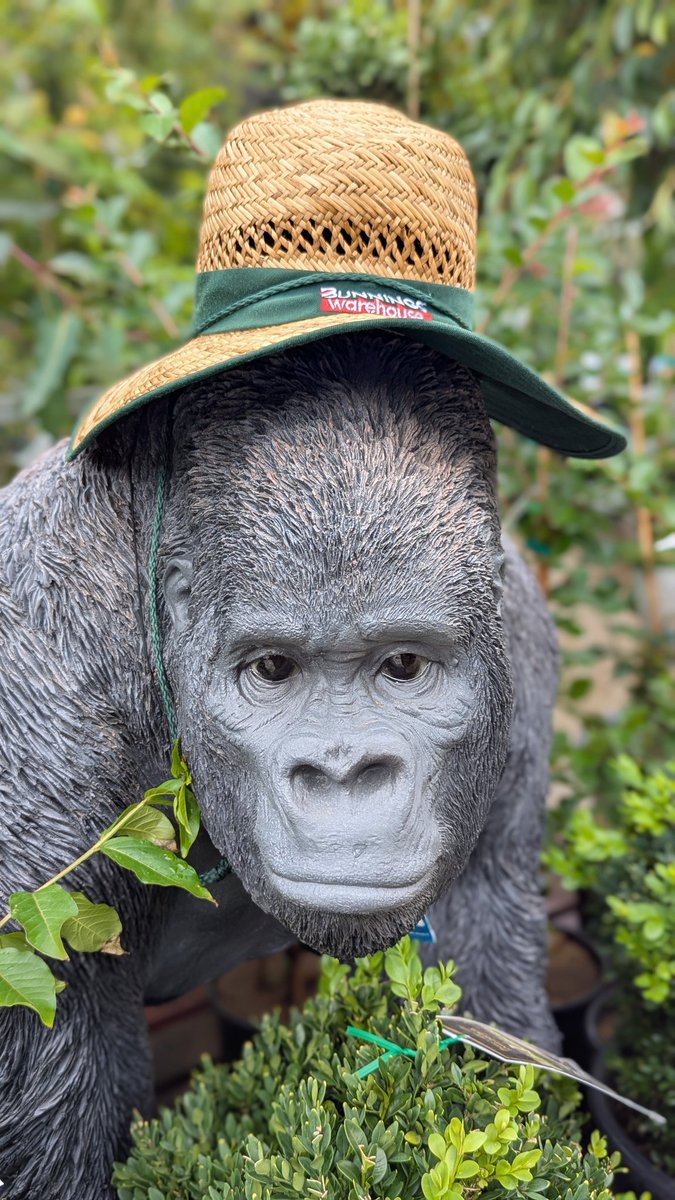 Scene & Source tweet media