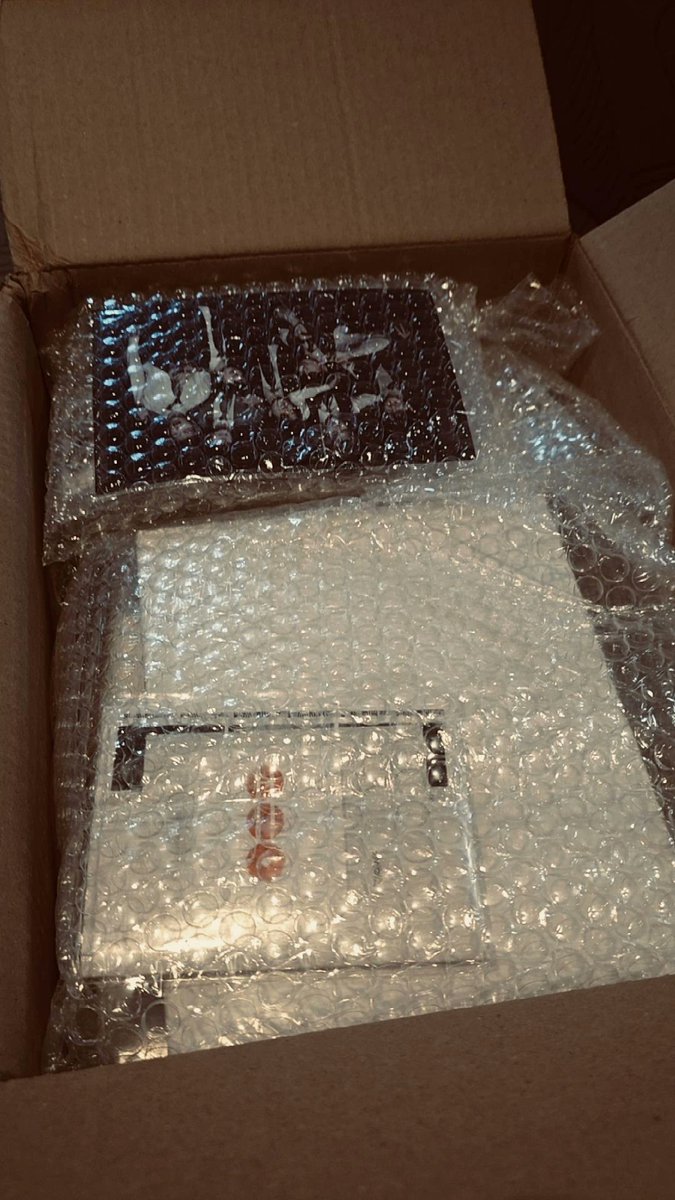 🍊 ☆ 𝙽𝚊𝚗𝚗𝚒. ᴬᵁˢ tweet media