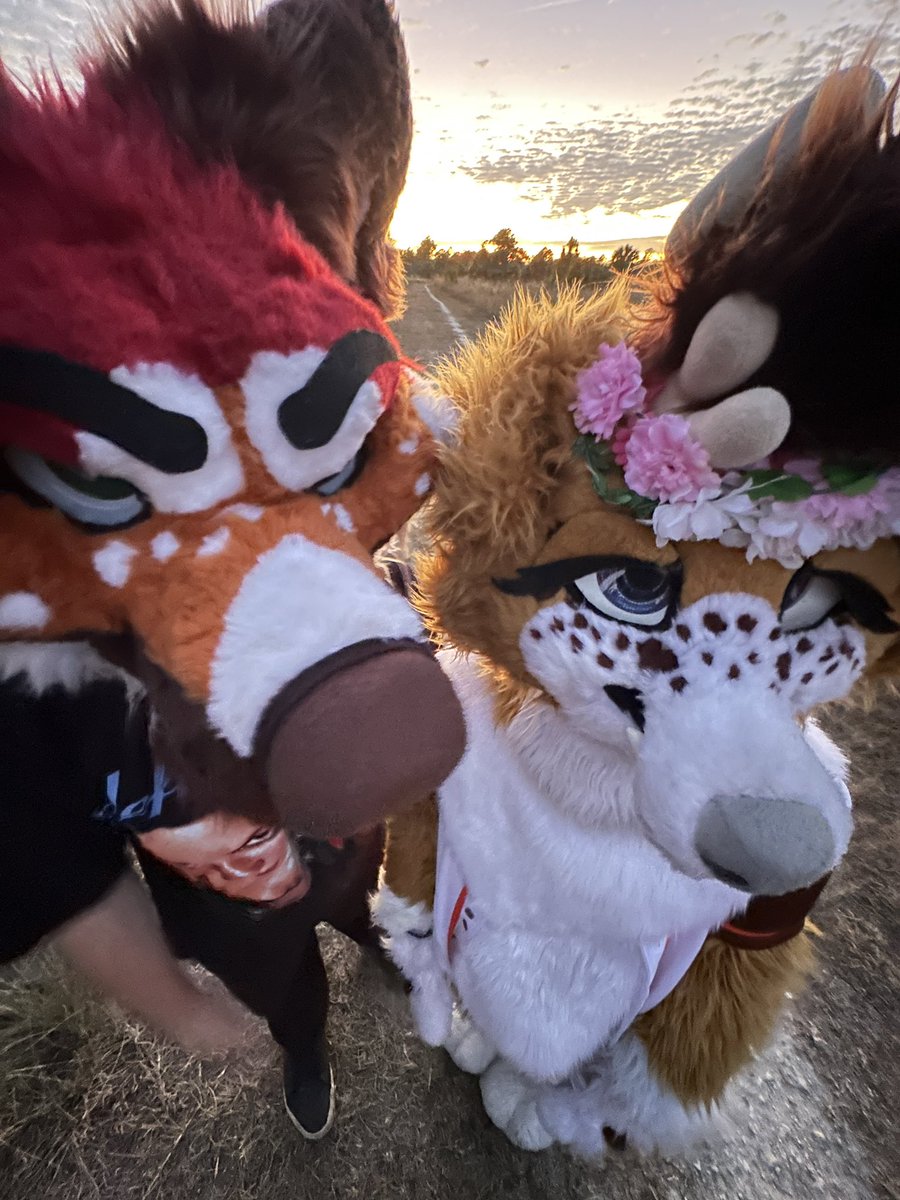 JackMuttSFW's tweet photo. Hello yet again twitter. Life updated, ngl shitty ass update &amp; almost died for the first half. We moved and we aren’t getting violently touched by life anymore so that’s cool and fun oh also you’ll see content again mainly on IG, hooray! https://t.co/Rs0NKSmNwu