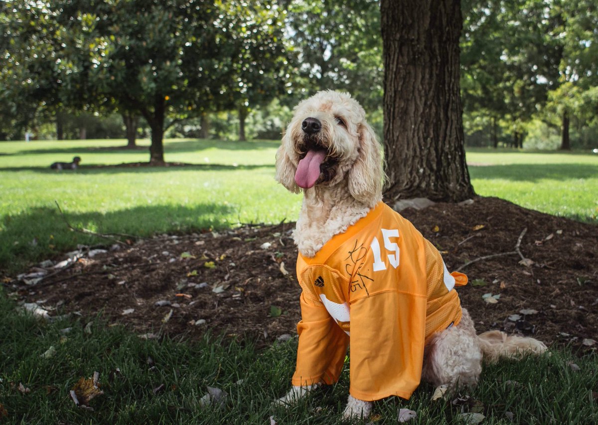 615Linemen tweet media