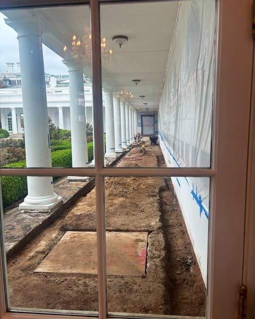 Lovable Liberal and his Old English sheepdog tweet media