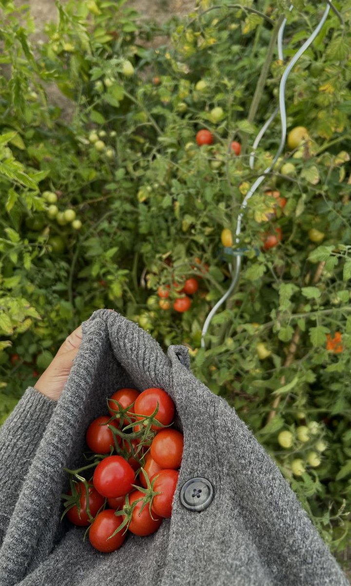 𝚓𝚊𝚖𝚎𝚜 tweet media