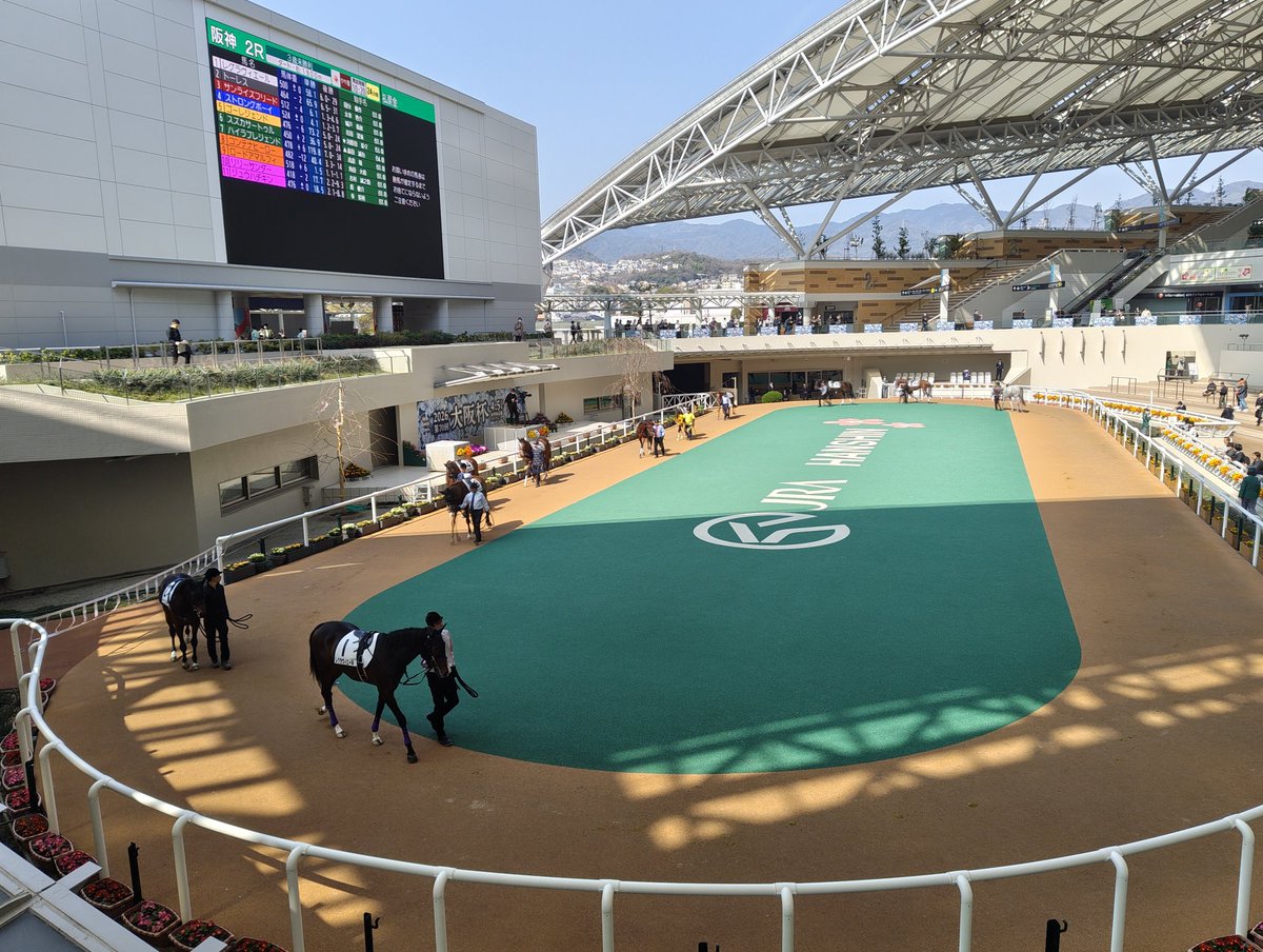 ｶﾀｵｶ tweet media