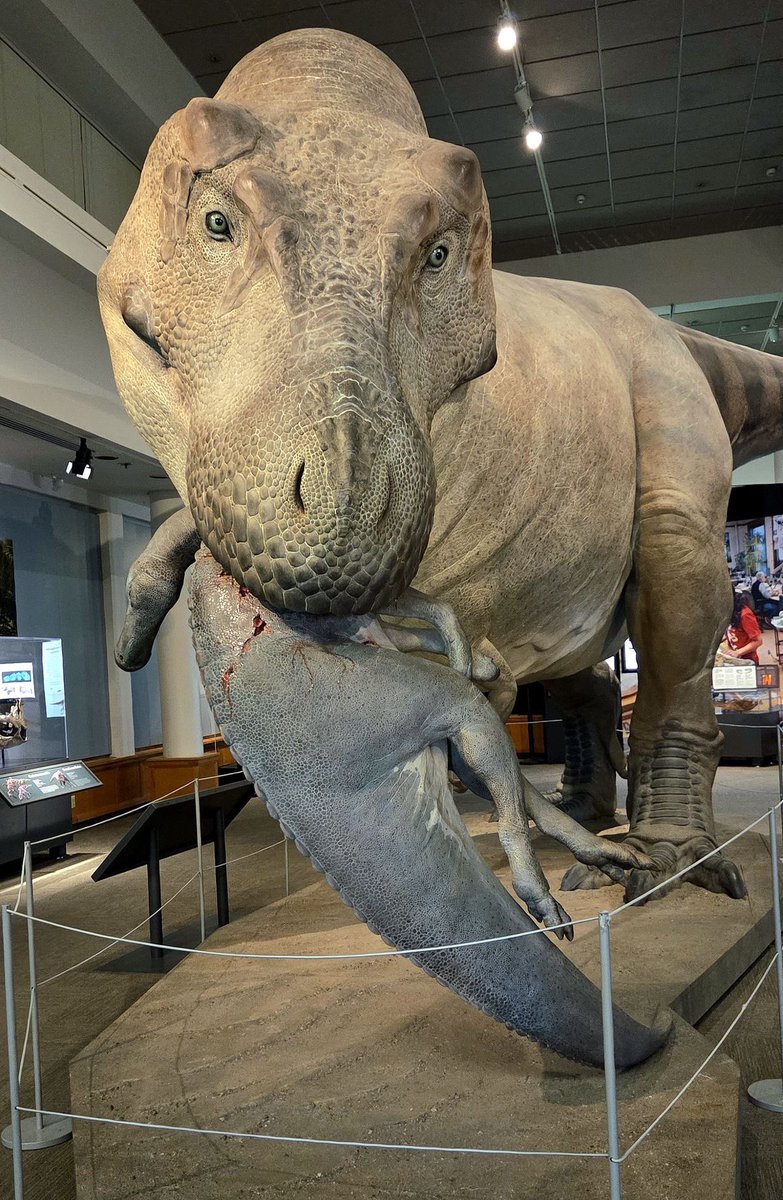 NezhteaRex tweet media