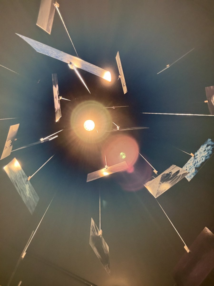 HEBU©︎ tweet media