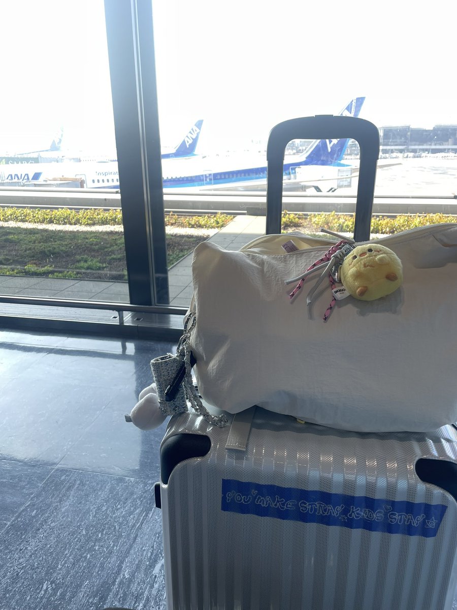 あんころもちもち。 tweet media