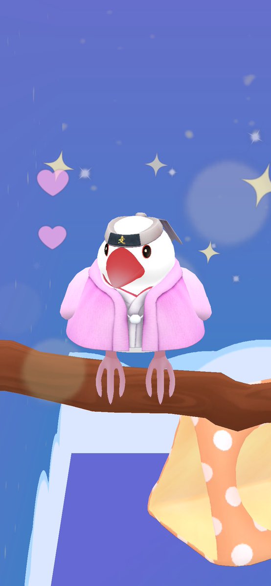 文鳥好きのとうふもち。 tweet media