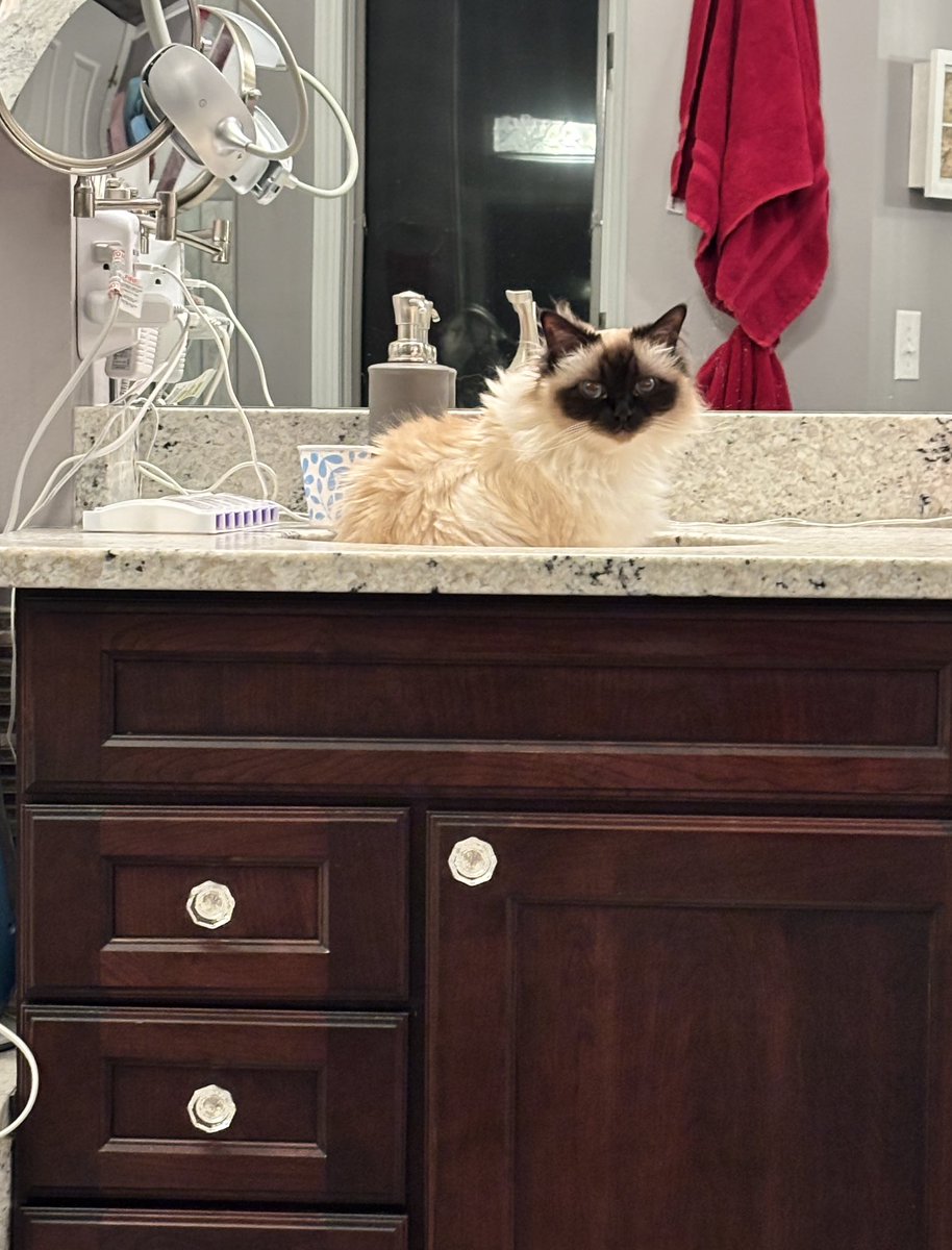 Elizabeth Griffith tweet media