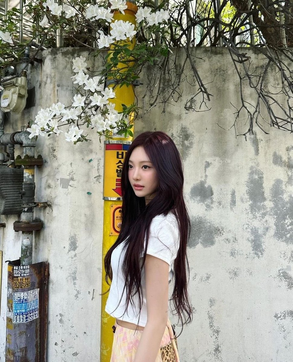 王, 𝐴͟𝑟͟𝑐͟𝑒͟𝑙͟𝑖͟𝑛͟𝑒͟. tweet media