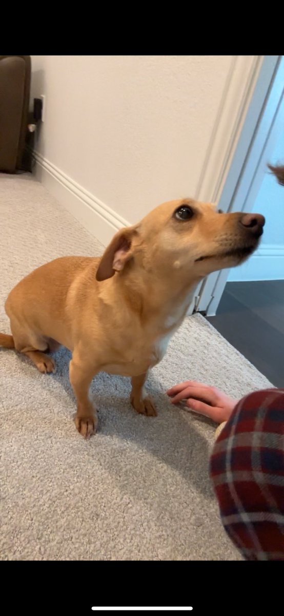 sonny 🖤 tweet media