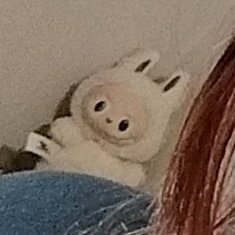 Maddsie__'s tweet photo. I didn't even notice 😭

The lafufu 👹 https://t.co/6sMYmLtWfy