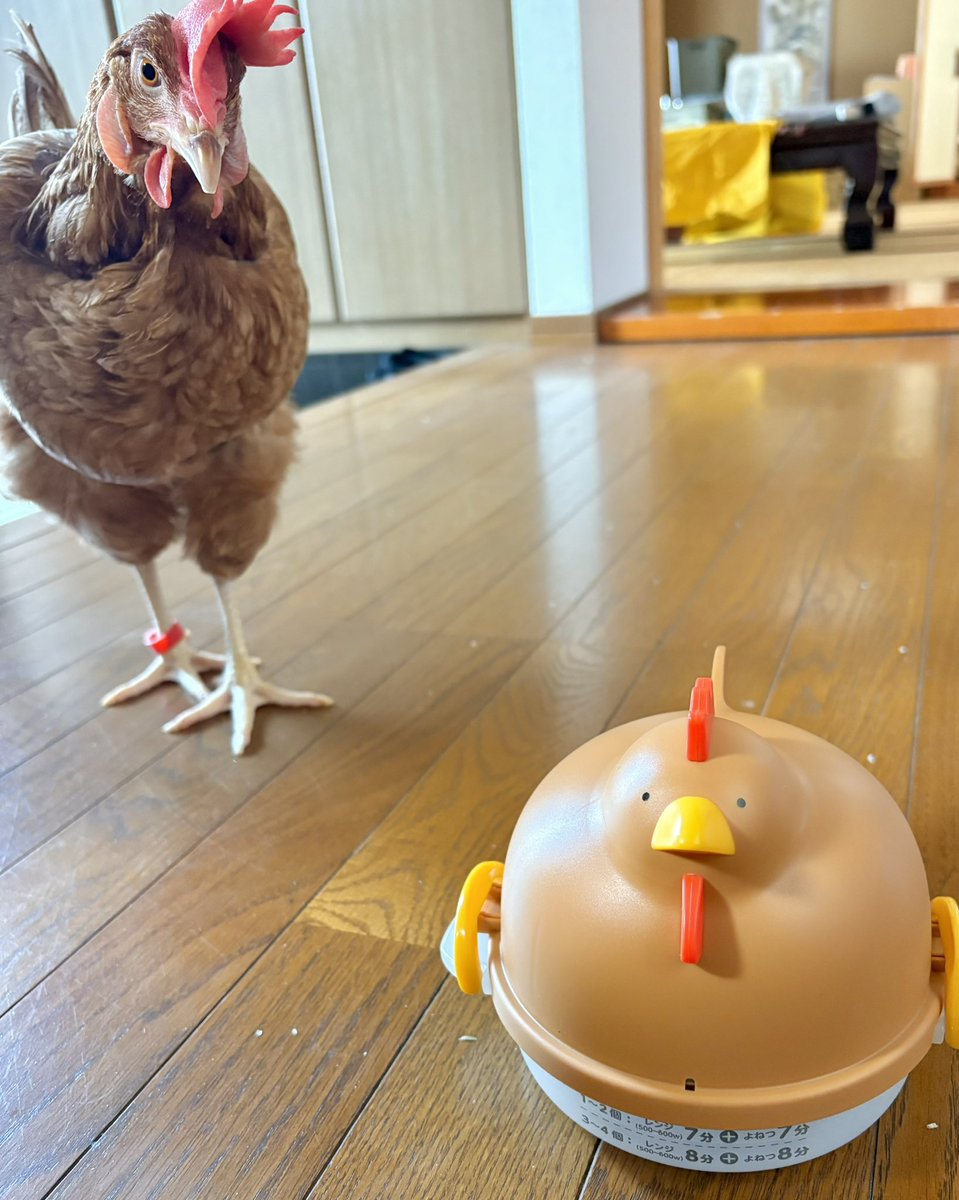 ささみ tweet media