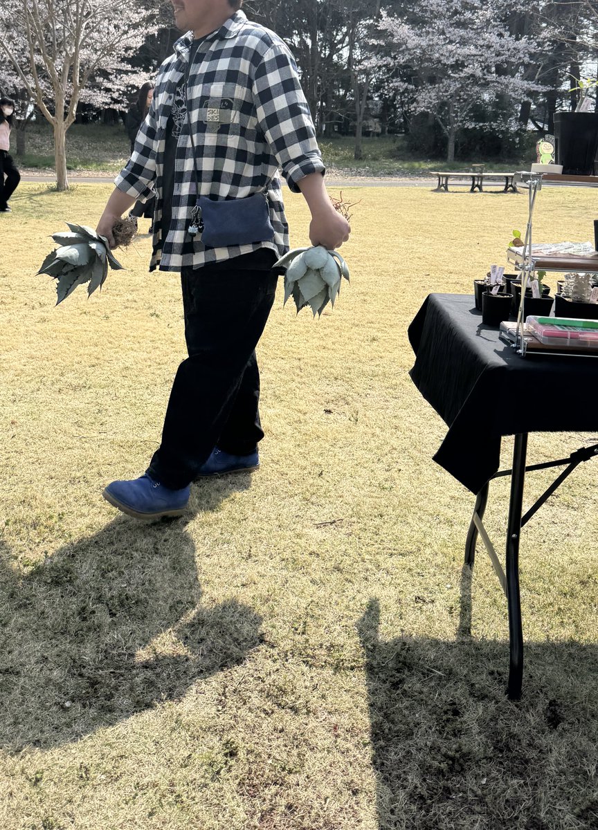 ふっき～ tweet media