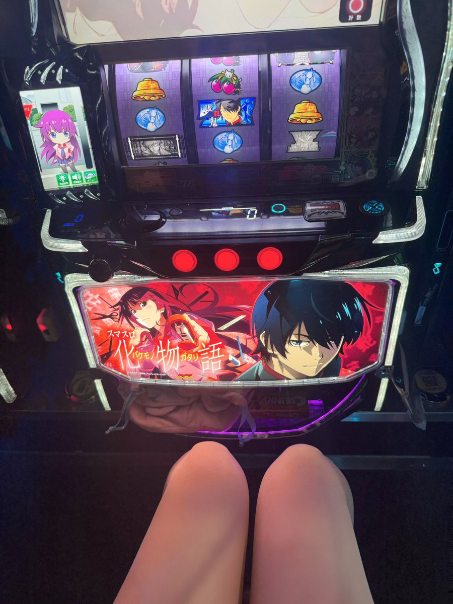 白瀬もも🐇 tweet media