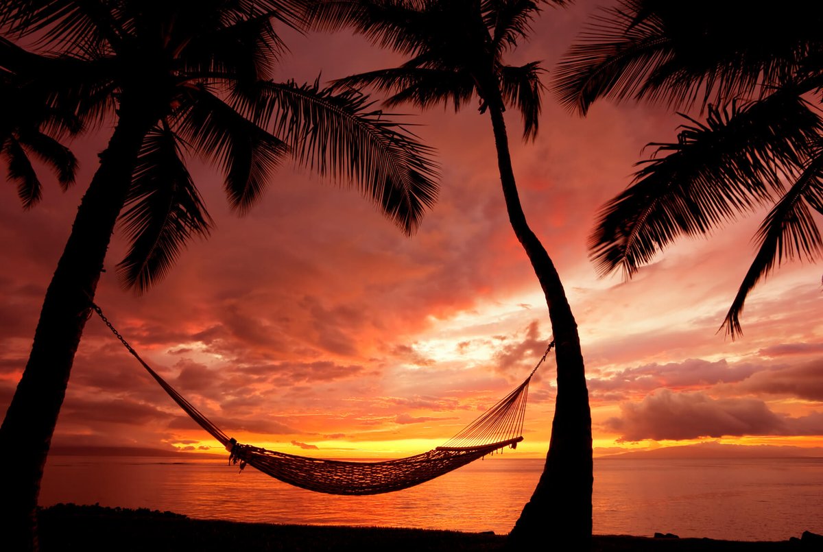 SecretFlying's tweet photo. Non-stop from #Tokyo, Japan to Honolulu, Hawaii for only $401 USD roundtrip #Travel

https://t.co/UUUTSdLsoE https://t.co/9qriiyjux9