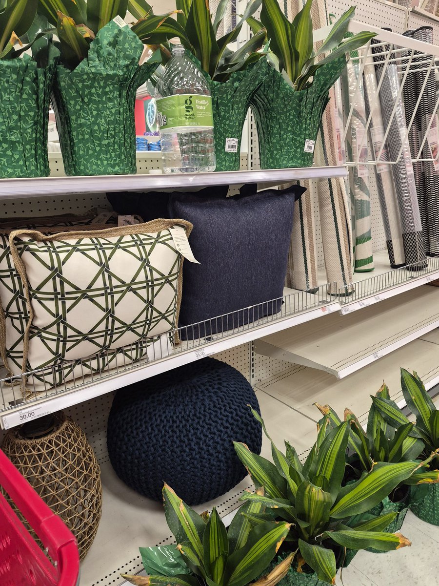 Jessica Machado tweet media