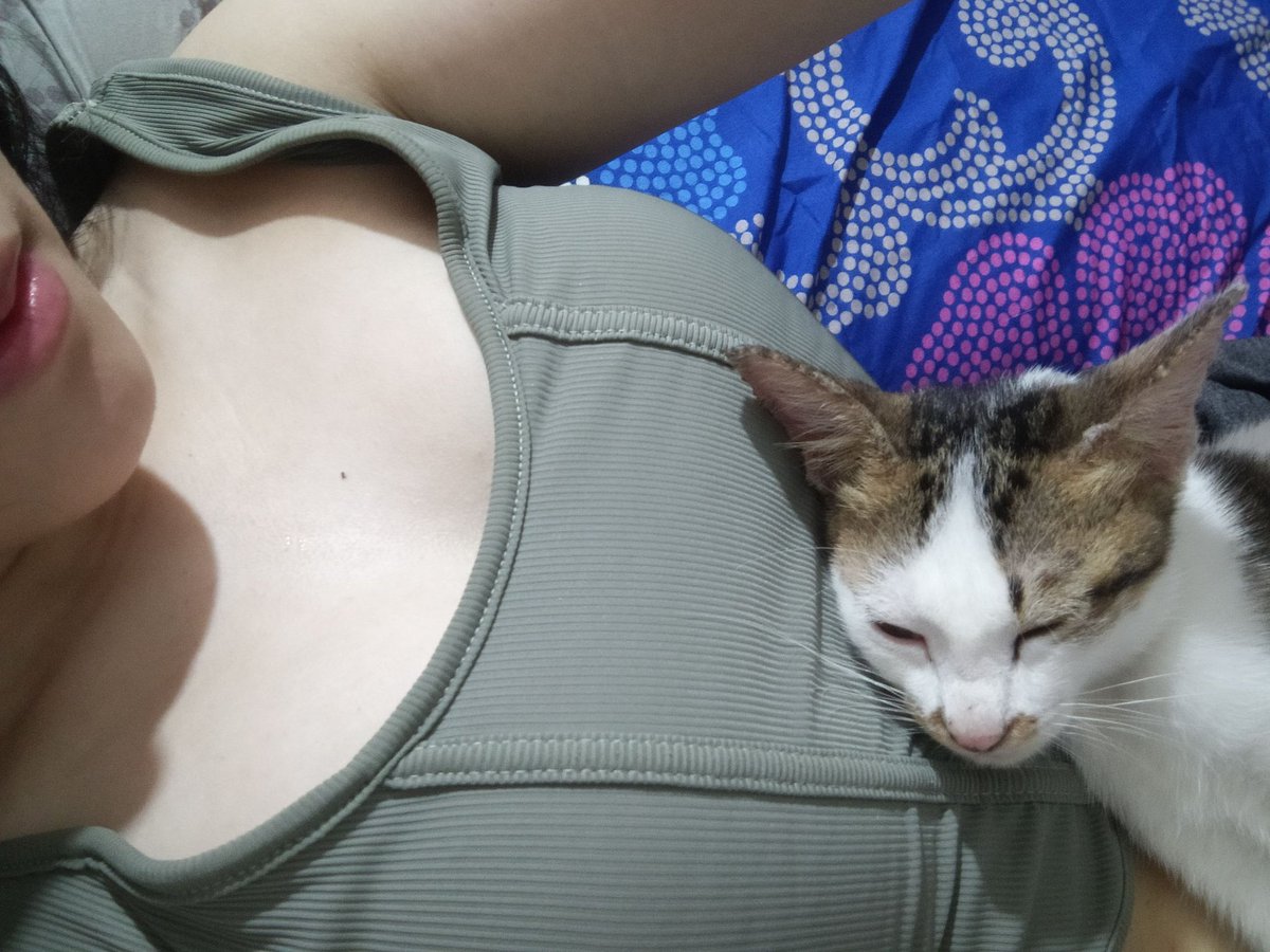 🐣🍉 tweet media