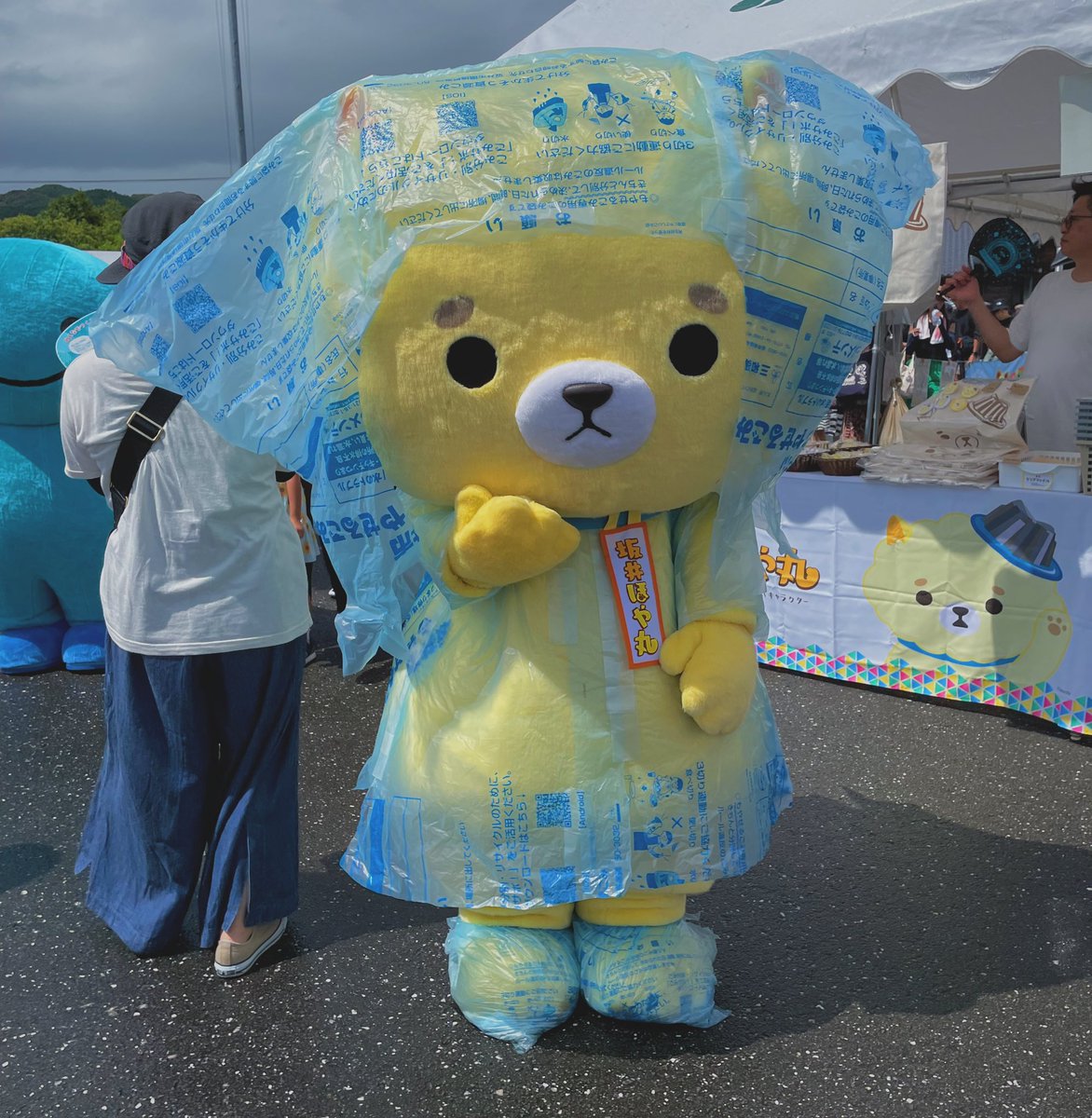 坂井ほや丸🍮🐾【坂井市公式キャラ】ゆるキャラGP 2年連続自治体キャラ1位🥇 tweet media