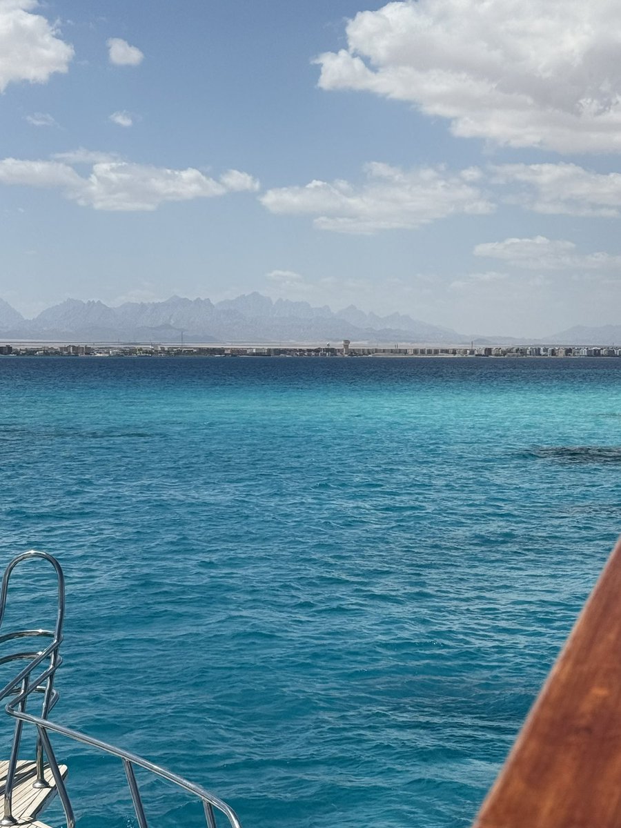 WestLoopTom tweet media