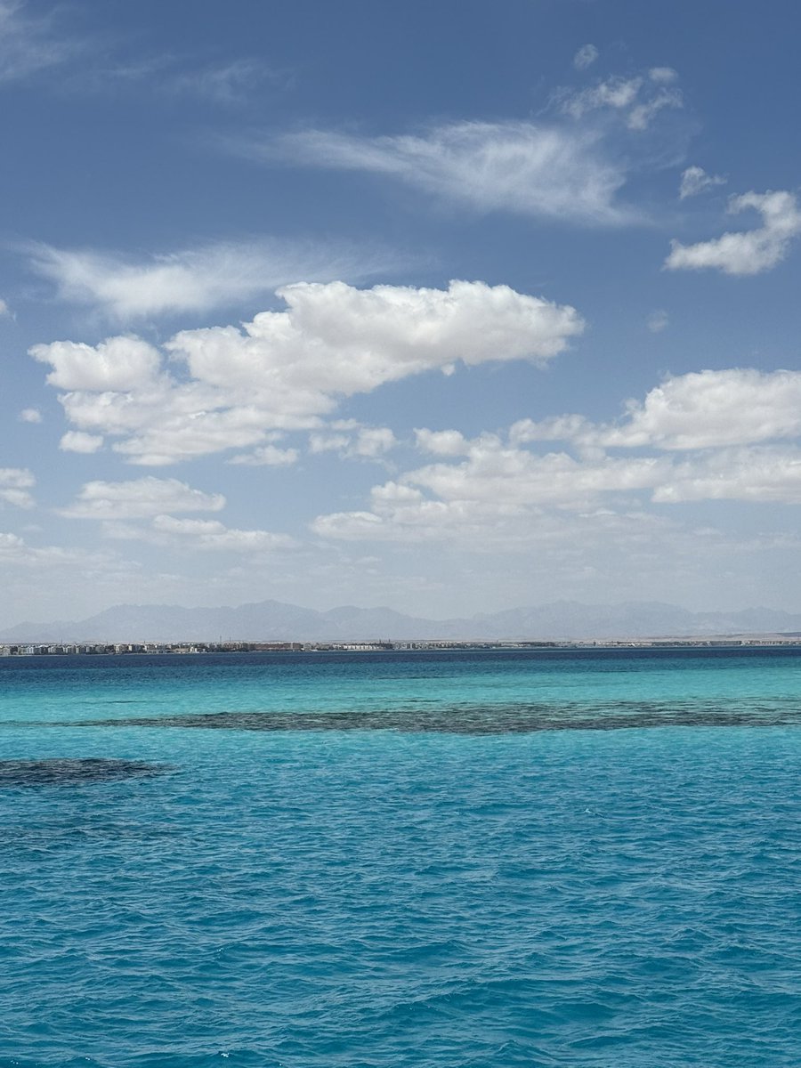 WestLoopTom tweet media