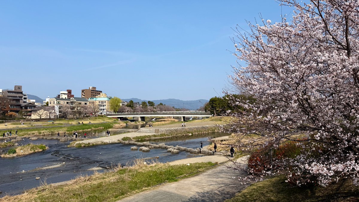 逃げドラ tweet media