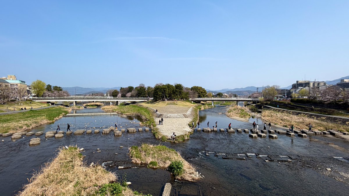 逃げドラ tweet media