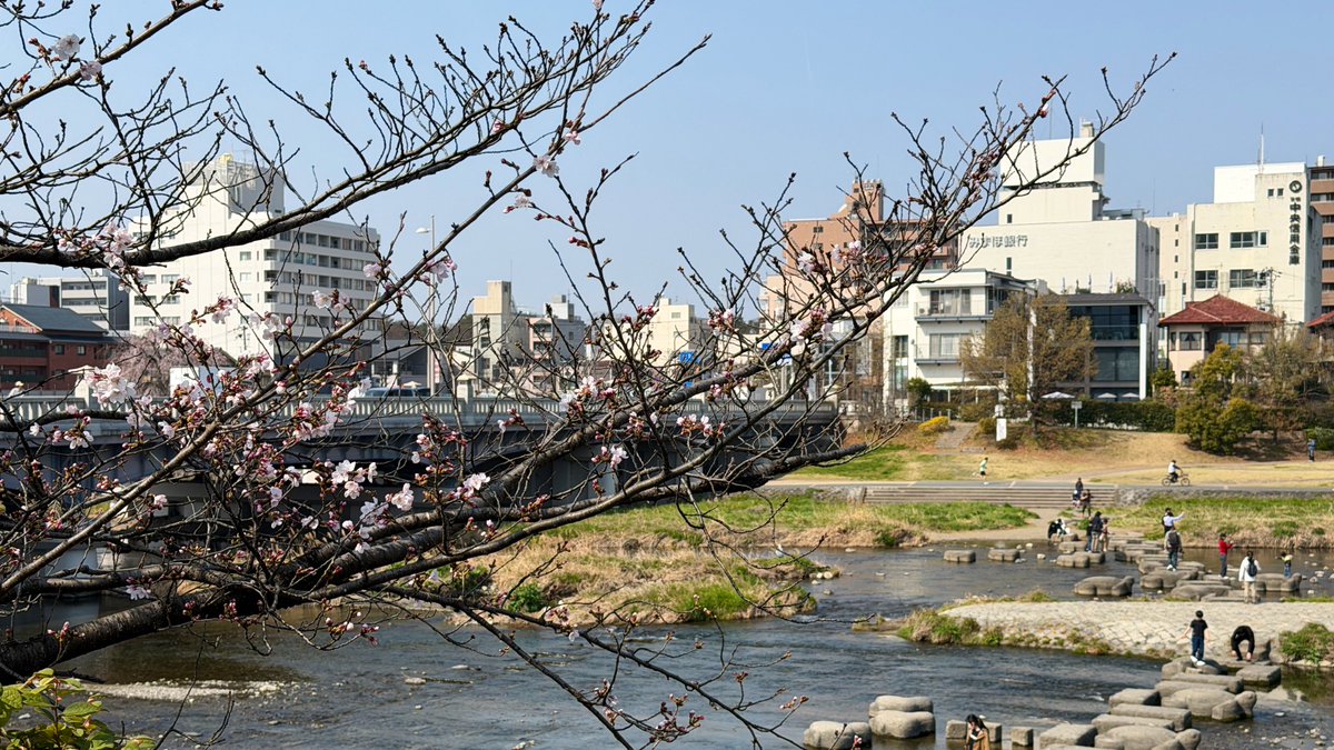 逃げドラ tweet media