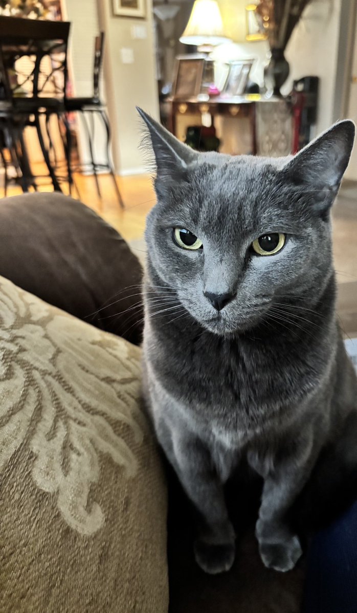 Crissea💙🌊 tweet media