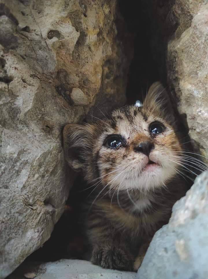 أوراق منسيه tweet media