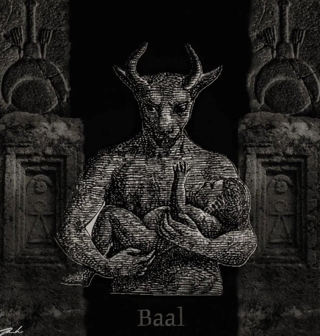 Halal Nation ☪︎ tweet media