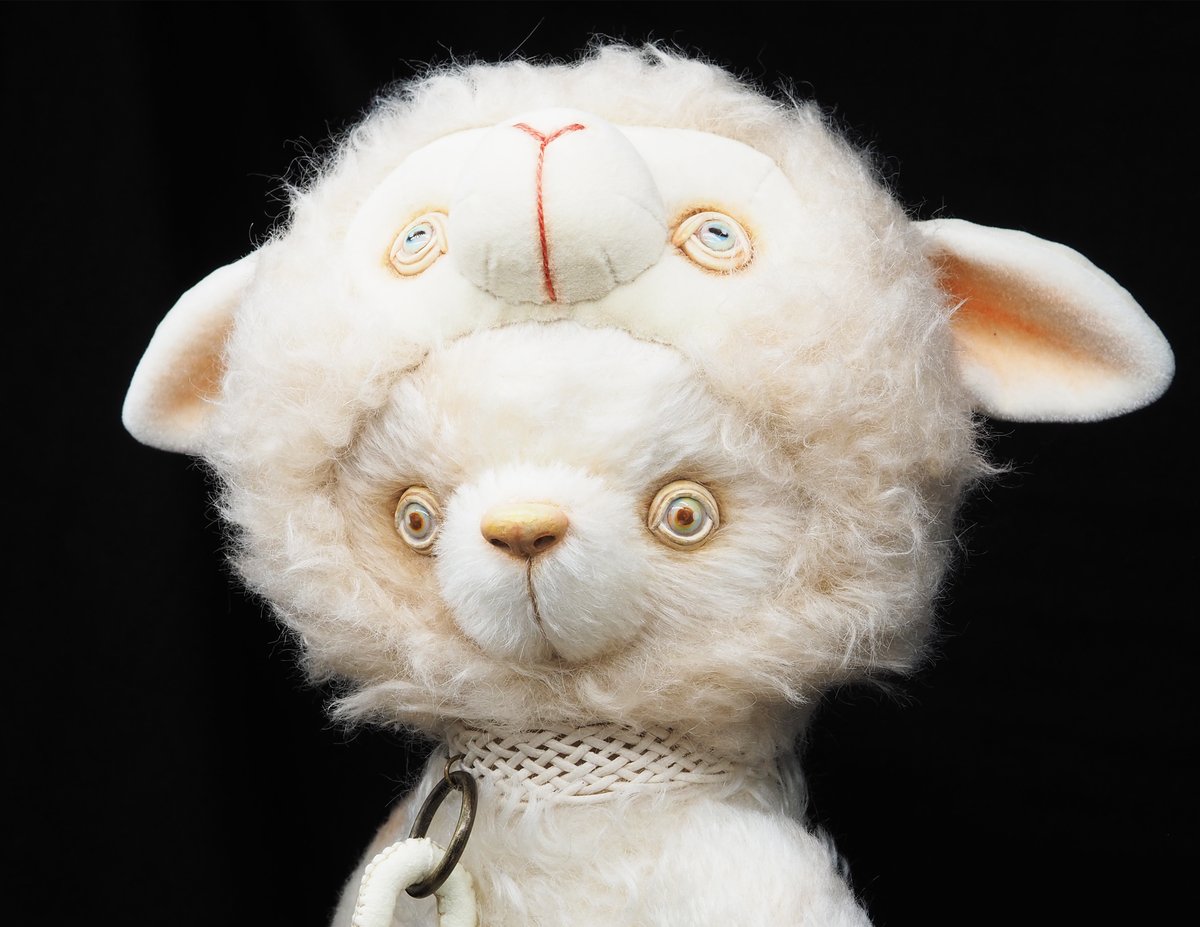 FANTANIMA! tweet media