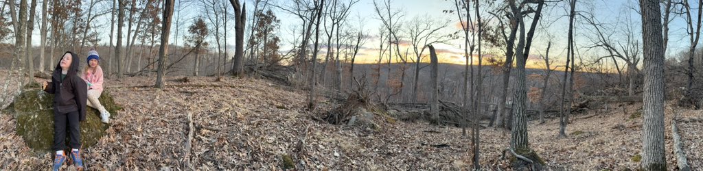 ɴᴇɪʟ ᴇᴅᴡᴀʀᴅ ᴊᴏʜɴsᴏɴ⚡ tweet media