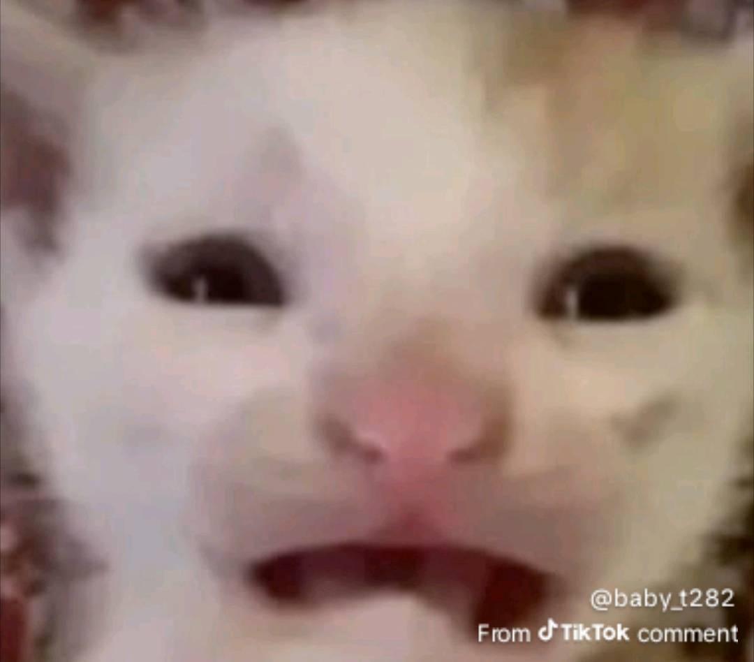 I HAVE TO GO BACK TO AMERICA TOMORROW