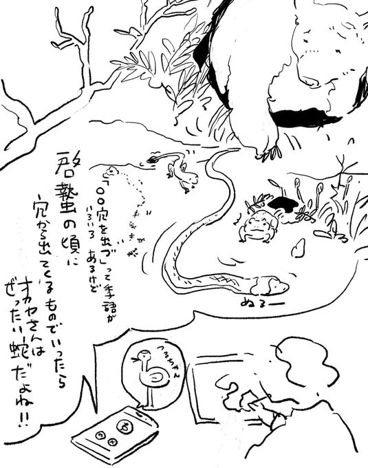 私は寒さが苦手で、暖かいと活動を始める、という話から。蛇の実感はあまりない。 