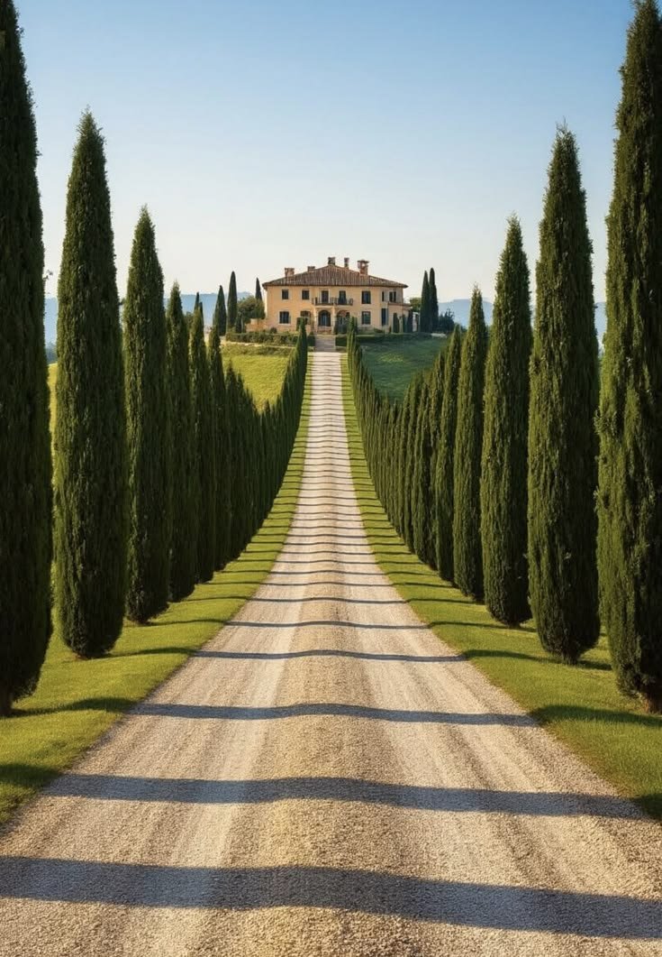 Ben Black | Dynasty Foundry tweet media