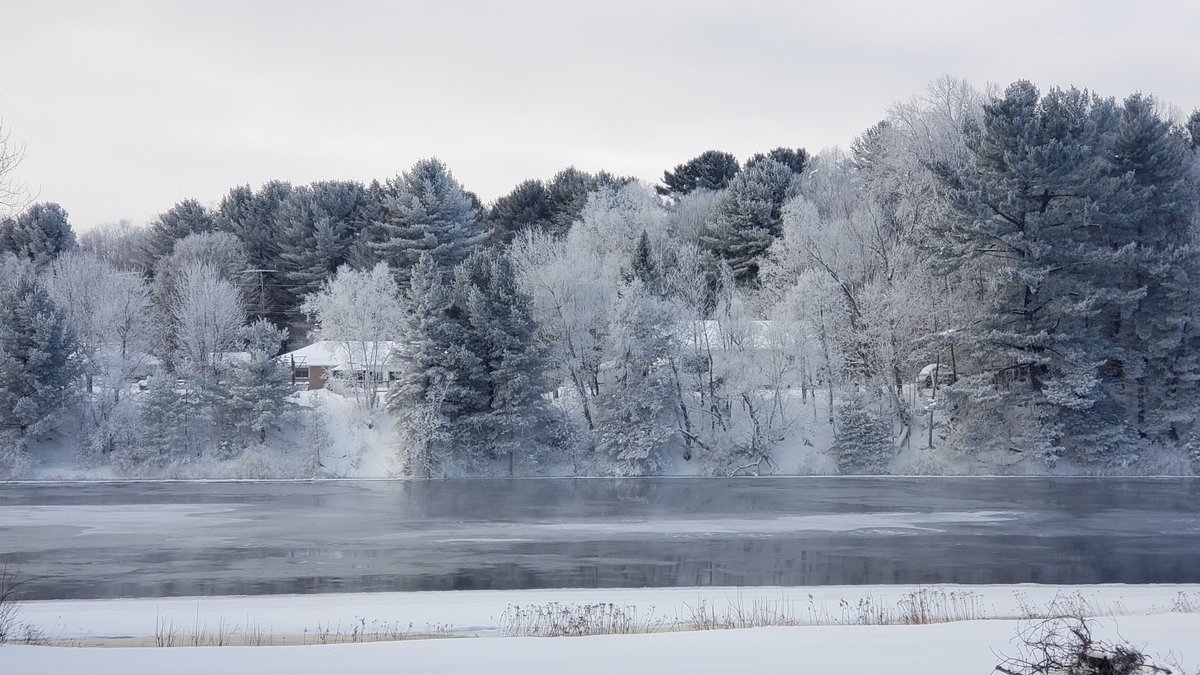 The OFF-GRIDiot tweet media