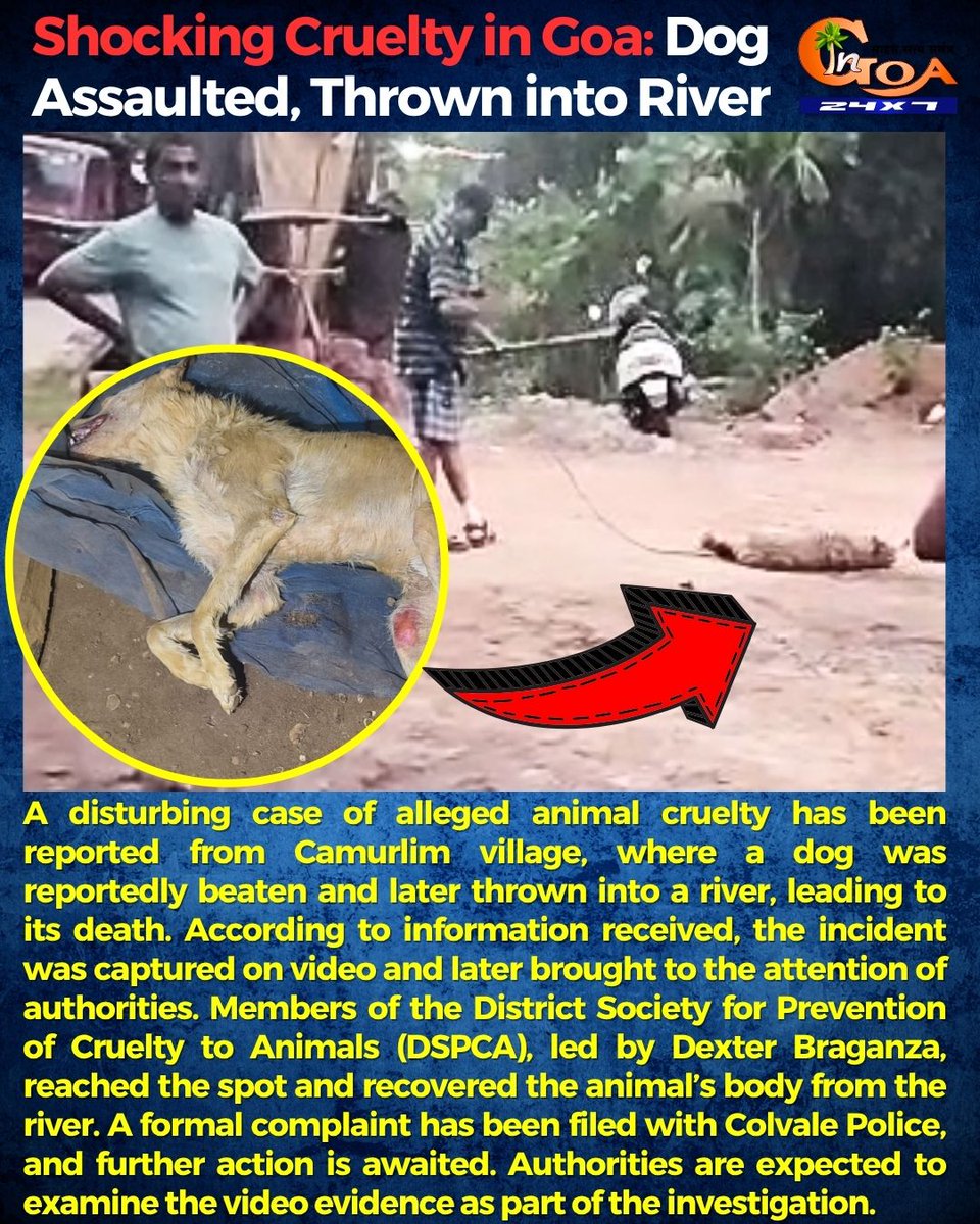 InGoa24x7's tweet image. #Shocking Cruelty in Goa: Dog Assaulted, Thrown into River, Dies
.
.
#Goa #GoaNews #Cruelty #Dog #Assault #River