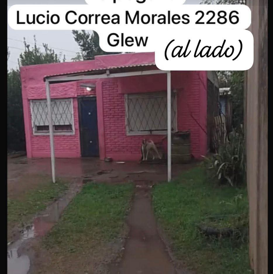 Abril Gomez tweet media