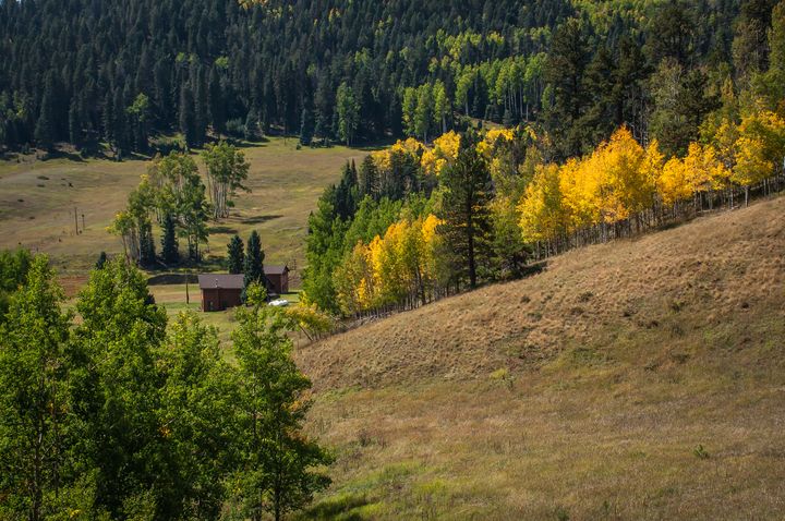 John  Bartelt tweet media