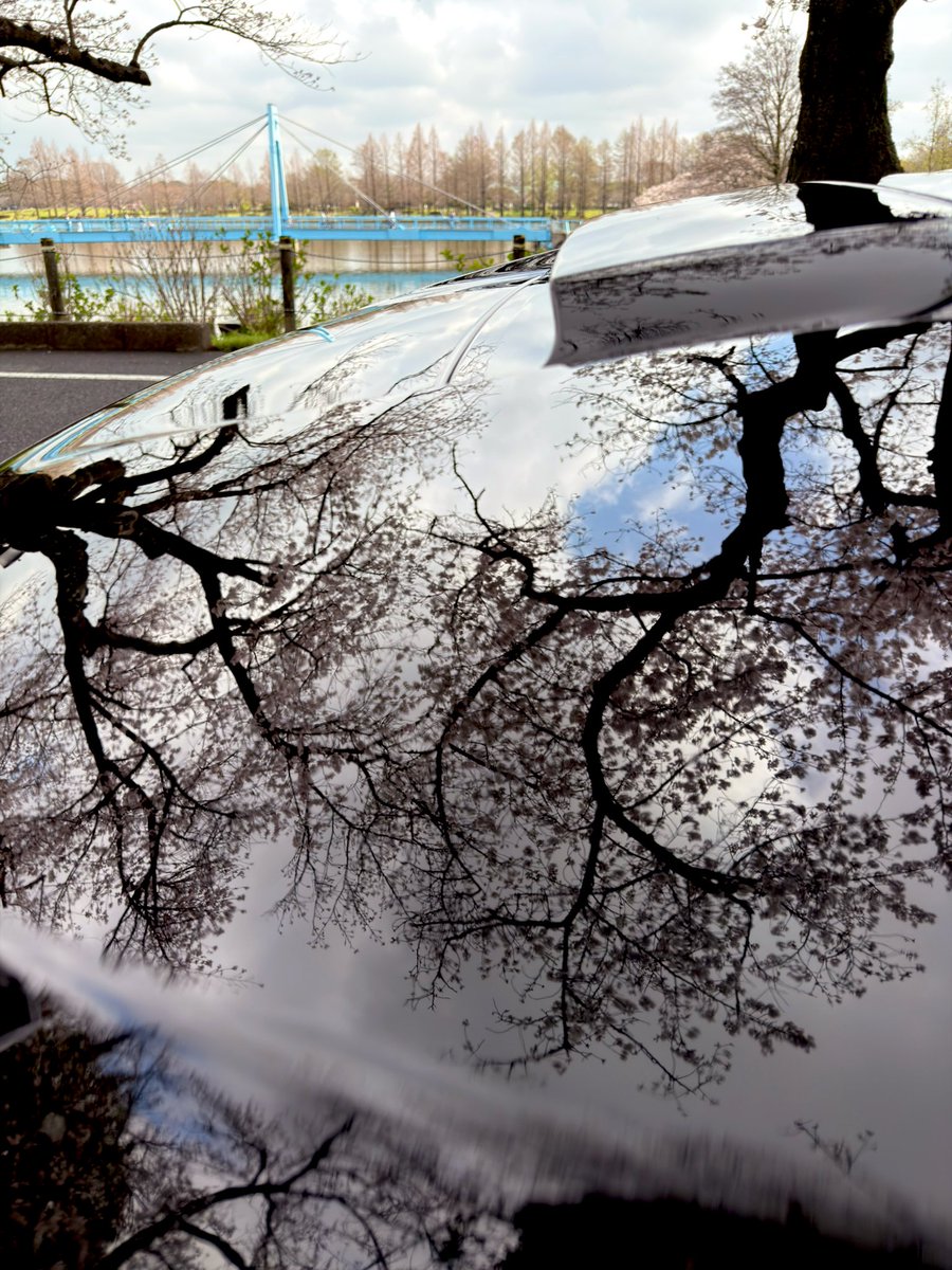 さいとうさん tweet media