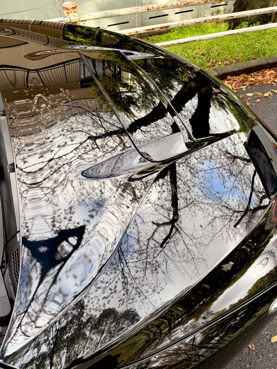 さいとうさん tweet media