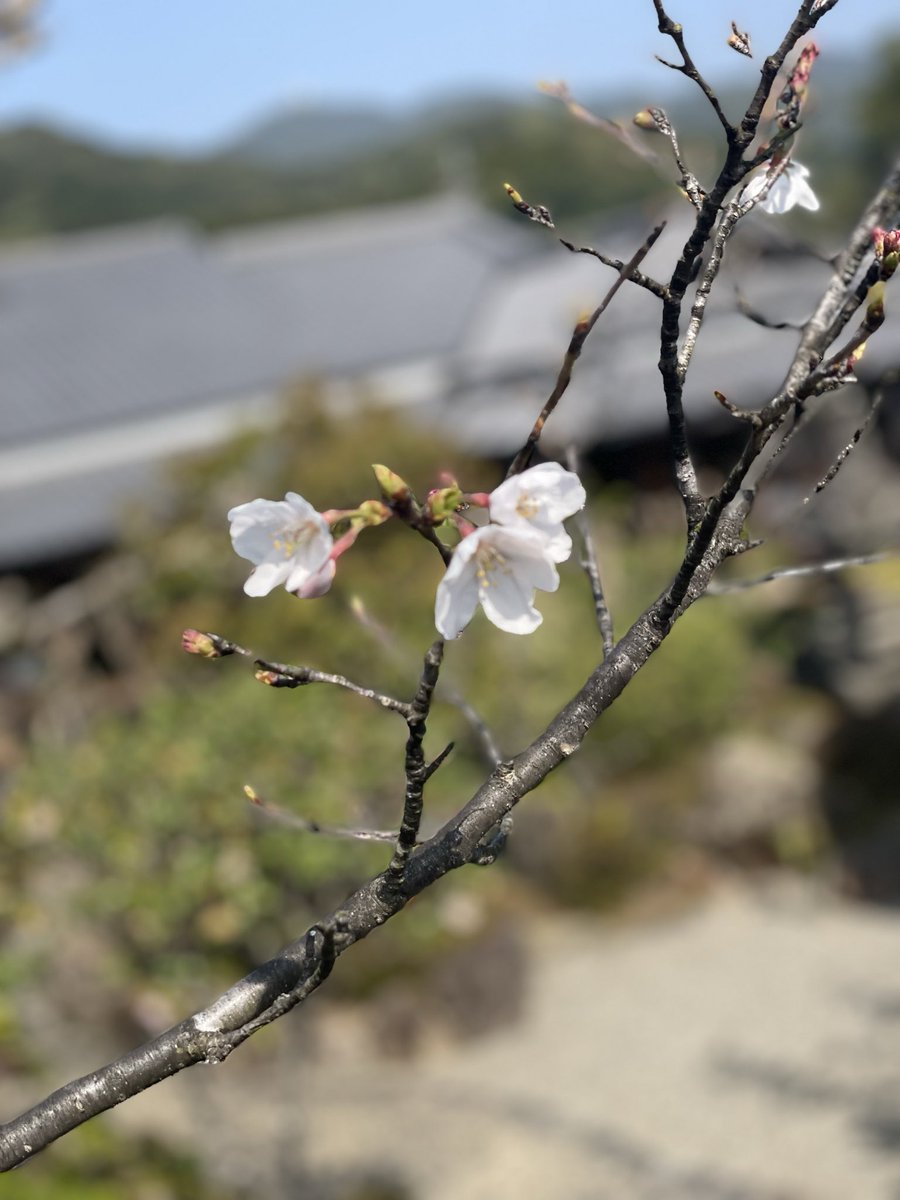 PR担当｜本坊酒造 tweet media