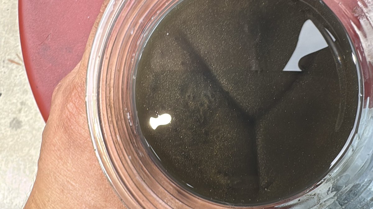 David Tracy tweet media