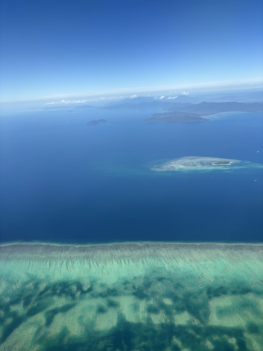 KECCHI 🌱 tweet media