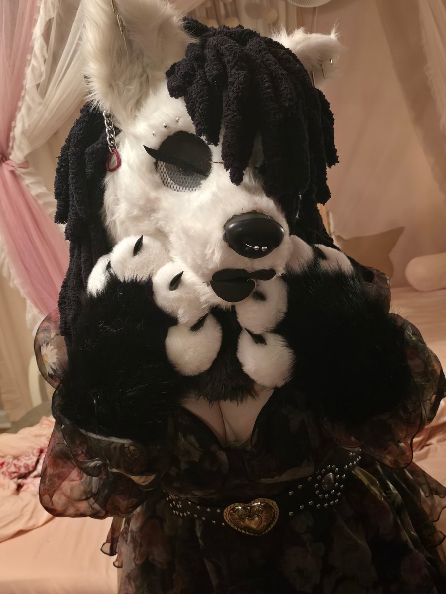 Samara_Pup's tweet photo. Happy Fursuit Friday babes!! 🖤🖤🖤

#fursuitfriday #furry #fursuit #furpup #furries #FurryFridayFun https://t.co/VL32PhMvNN