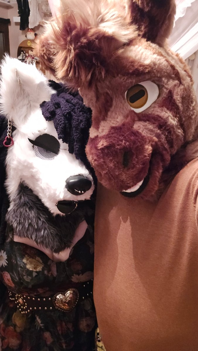 Samara_Pup's tweet photo. Happy Fursuit Friday babes!! 🖤🖤🖤

#fursuitfriday #furry #fursuit #furpup #furries #FurryFridayFun https://t.co/VL32PhMvNN