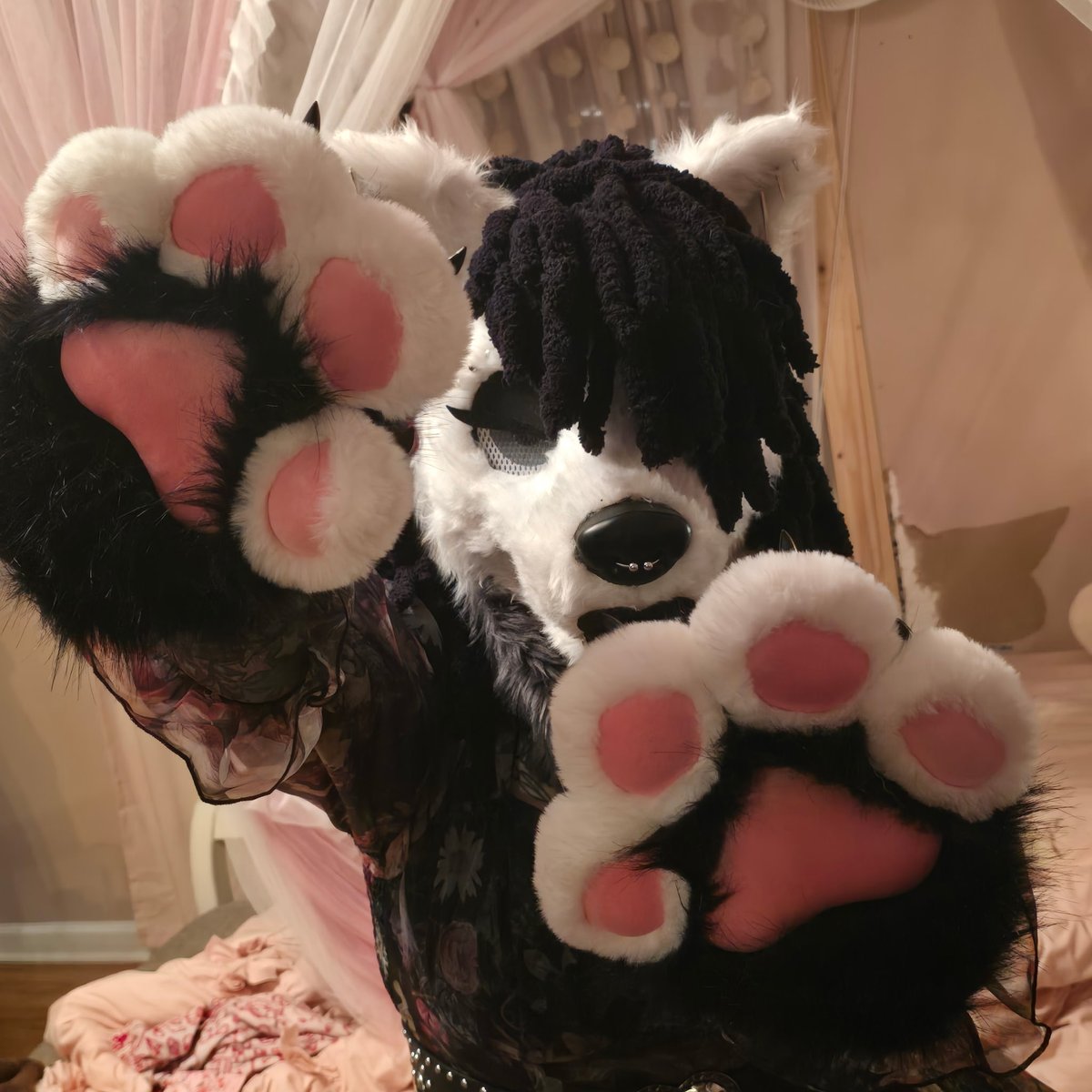 Samara_Pup's tweet photo. Happy Fursuit Friday babes!! 🖤🖤🖤

#fursuitfriday #furry #fursuit #furpup #furries #FurryFridayFun https://t.co/VL32PhMvNN