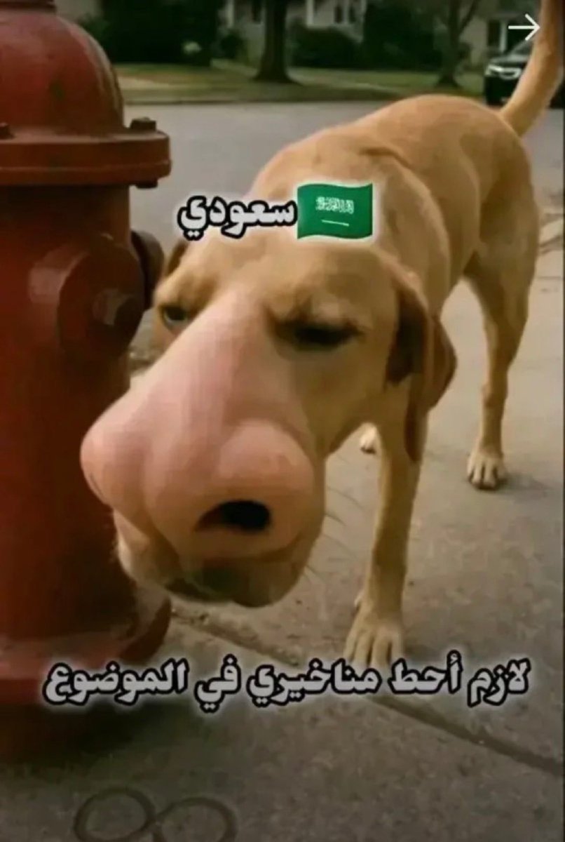 big _ rock tweet media